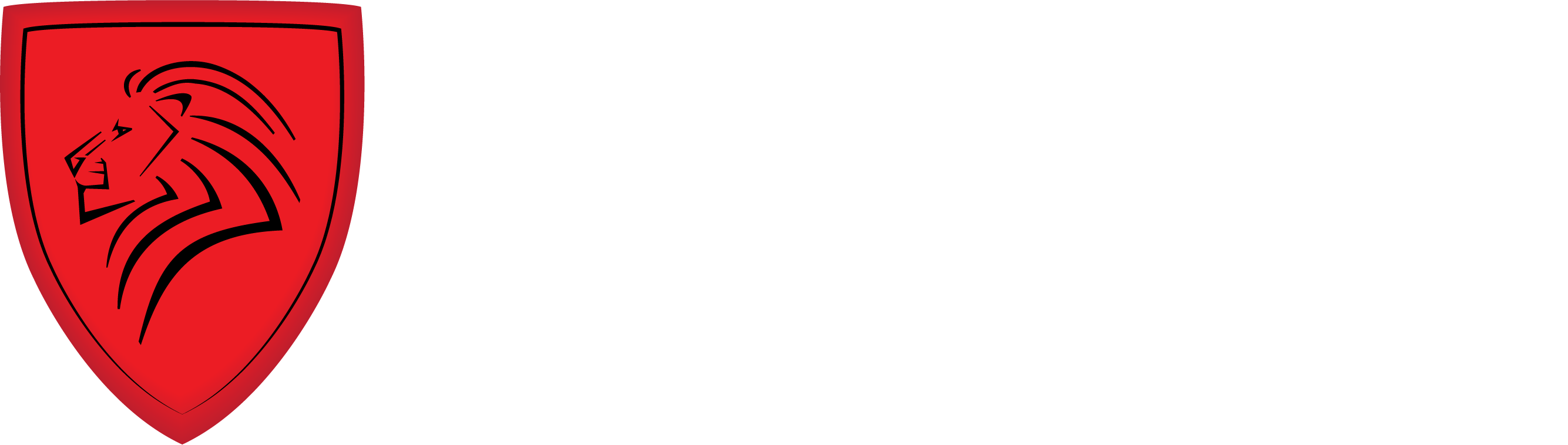 Pro Financial Services logo